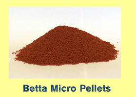 Betta Pellets - Micro Betta Pellets - Micro