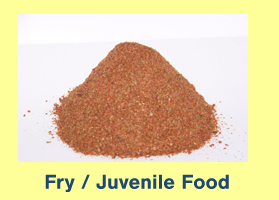 Fry / Juvenile Food Fry / Juvenile Food