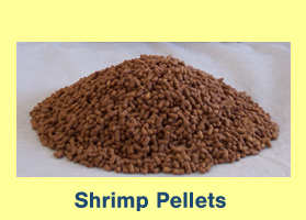 Shrimp Pellets Shrimp Pellets